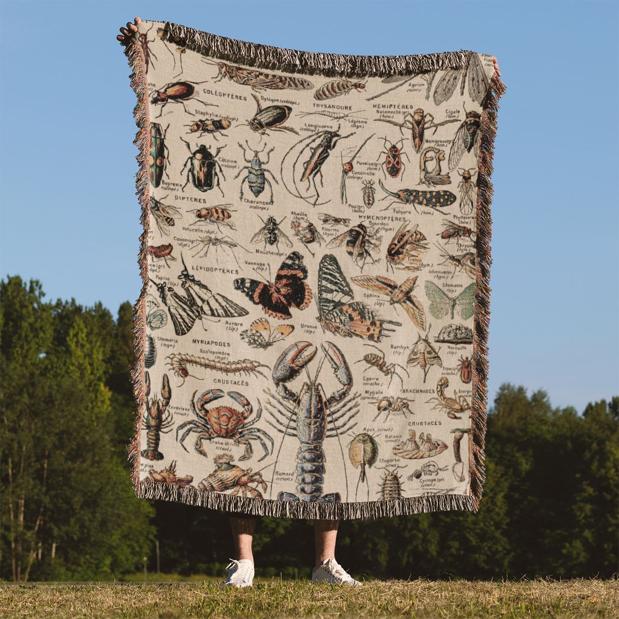 Cool Insect Woven Blanket Held Up Outside