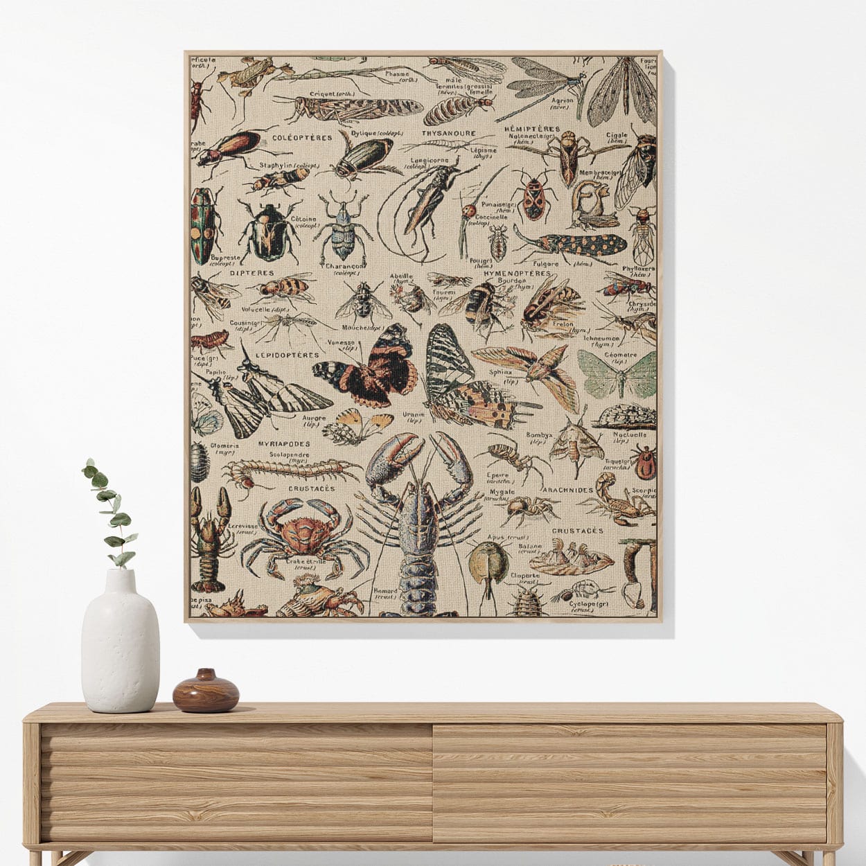 Cool Insect Woven Blanket Woven Blanket Hanging on a Wall as Framed Wall Art