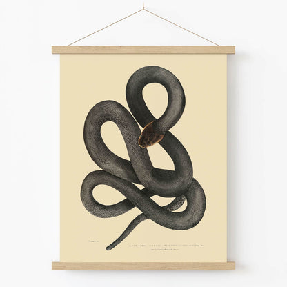 Cool Snake Art Print in Wood Hanger Frame on Wall