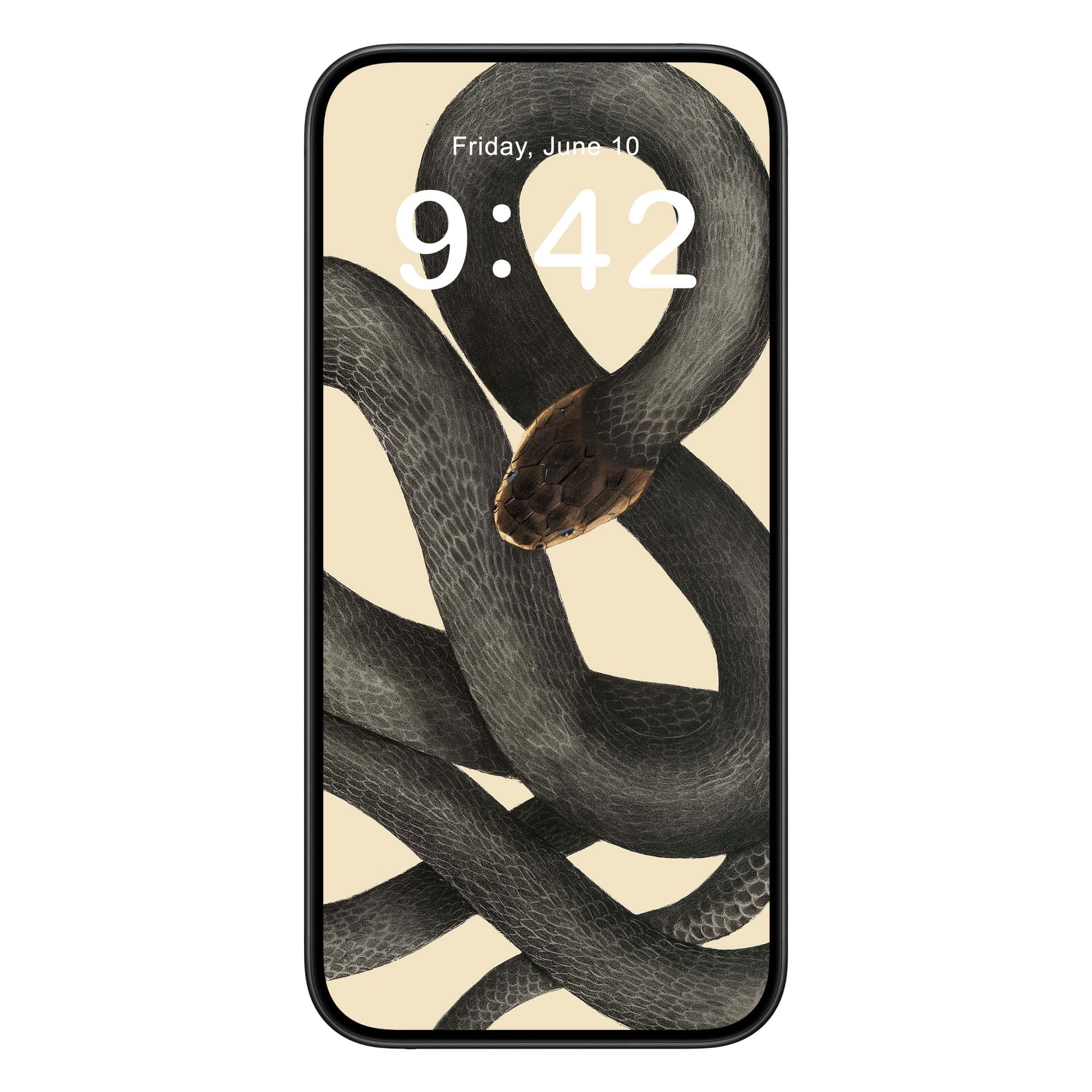 Cool Snake phone wallpaper background with black cobra capella design shown on a phone lock screen, instant download available.