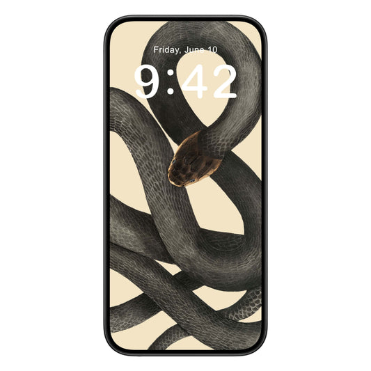 Cool Snake phone wallpaper background with black cobra capella design shown on a phone lock screen, instant download available.