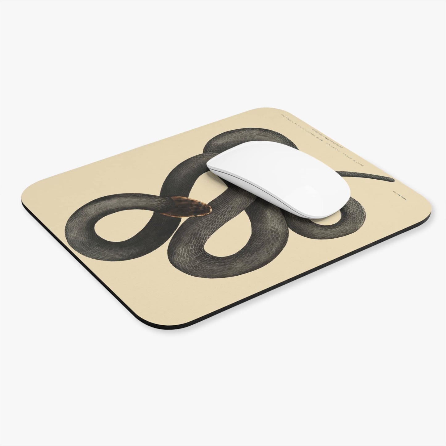 Cool Snake Computer Desk Mouse Pad With White Mouse