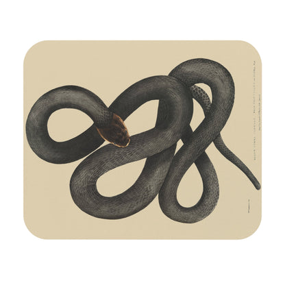 Cool Snake Mouse Pad with black cobra Capella art, desk and office decor featuring detailed snake illustrations.