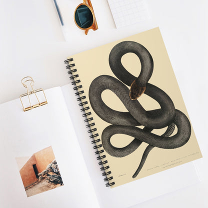 Cool Snake Spiral Notebook Displayed on Desk