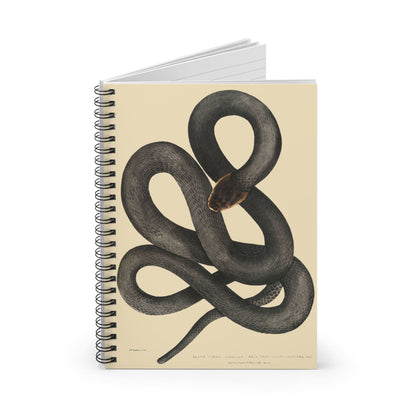 Cool Snake Spiral Notebook Standing up on White Desk