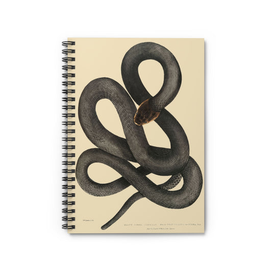 Cool Snake Notebook with black cobra capella cover, ideal for journals and planners, showcasing cool snake illustrations.