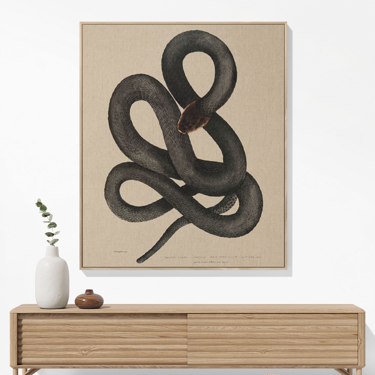 Cool Snake Woven Blanket Woven Blanket Hanging on a Wall as Framed Wall Art