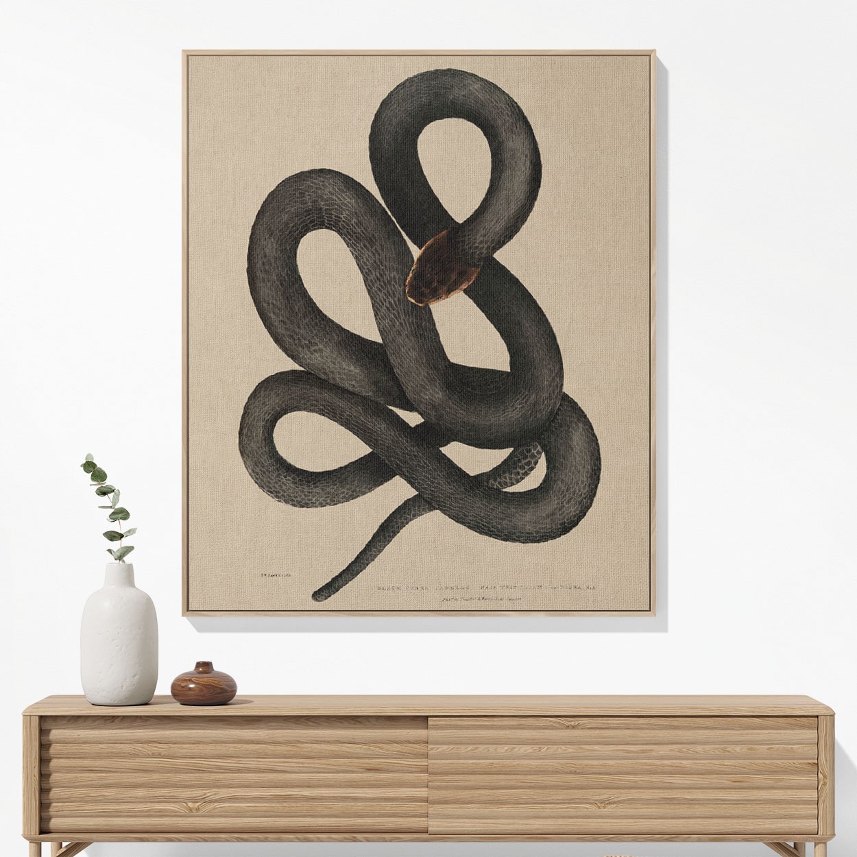 Cool Snake Woven Blanket Hanging on a Wall as Framed Wall Art