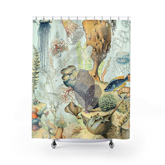 Corals and Jellyfish Shower Curtain with sea life diagram design, educational bathroom decor featuring detailed marine diagrams.