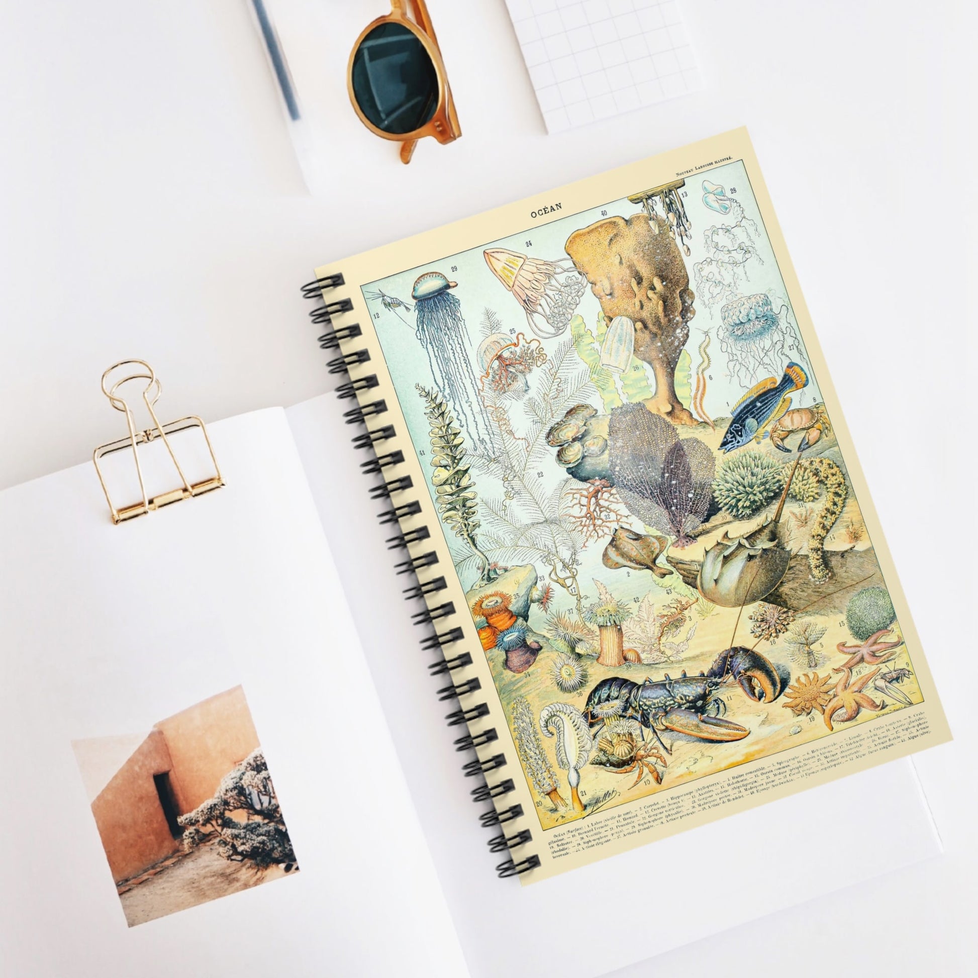 Corals and Jellyfish Spiral Notebook Displayed on Desk