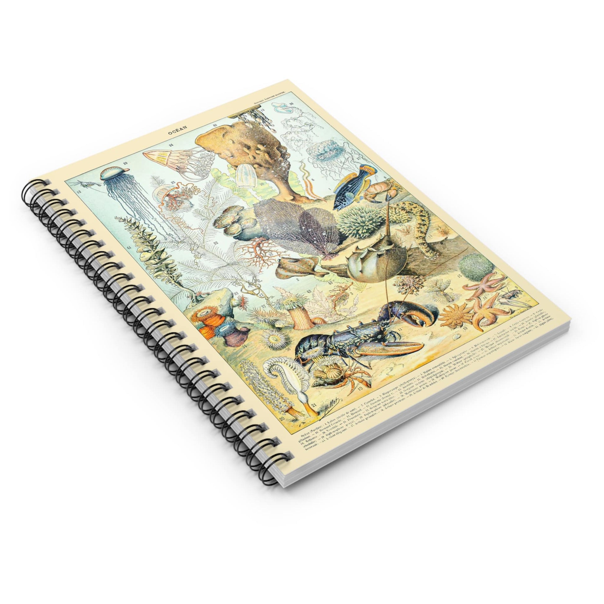 Corals and Jellyfish Spiral Notebook Laying Flat on White Surface