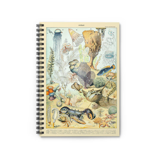 Corals and Jellyfish Notebook with Sea Life Diagram cover, perfect for journaling and planning, featuring a sea life diagram of corals and jellyfish.
