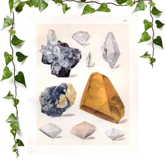 Crystals art print featuring amber and crystals, vintage wall art room decor