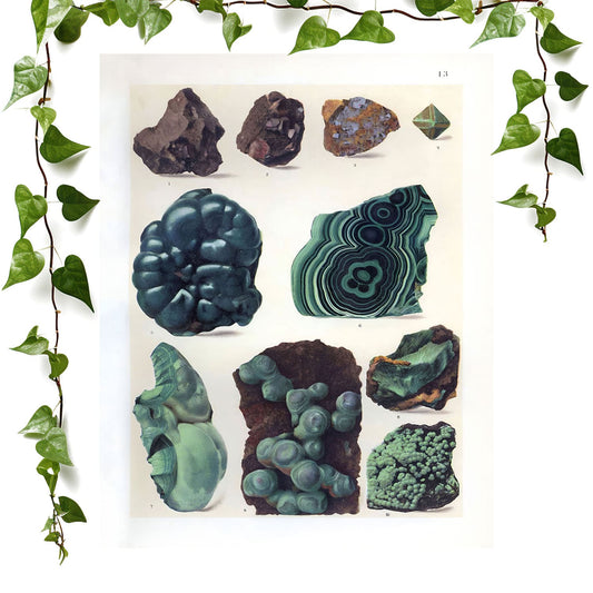 Dark Rocks and Jade art print featuring natural gemstones, vintage wall art room decor