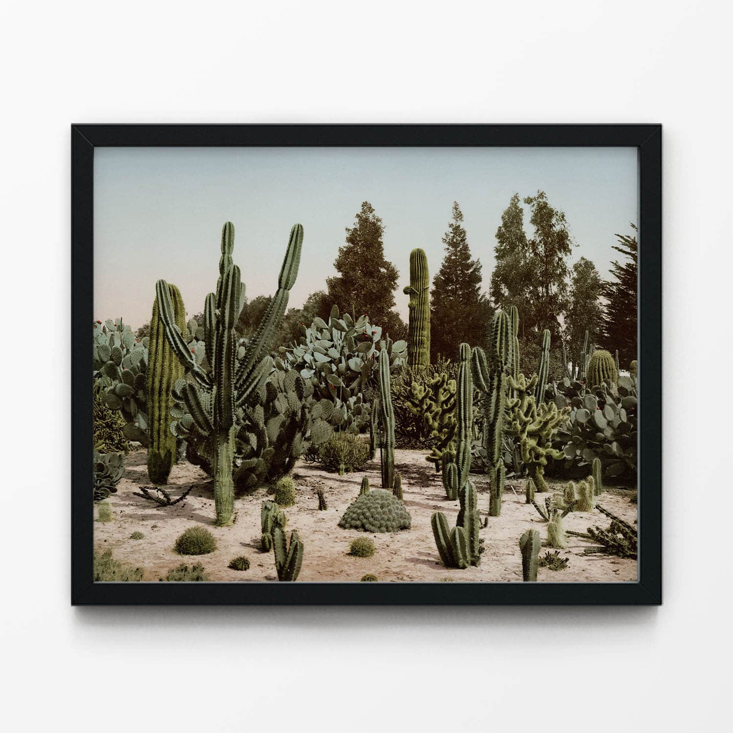Desert Landscape Art Print in Black Picture Frame