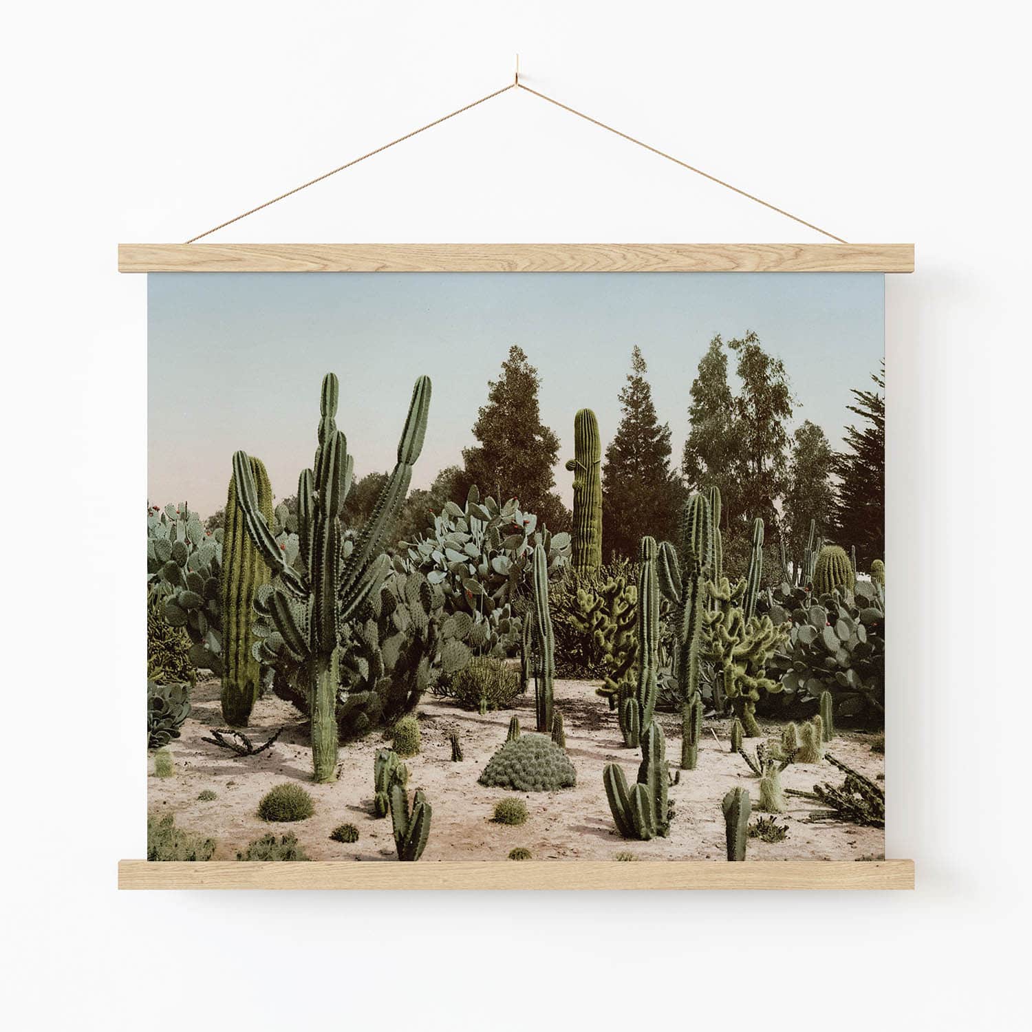 Desert Landscape Art Print in Wood Hanger Frame on Wall