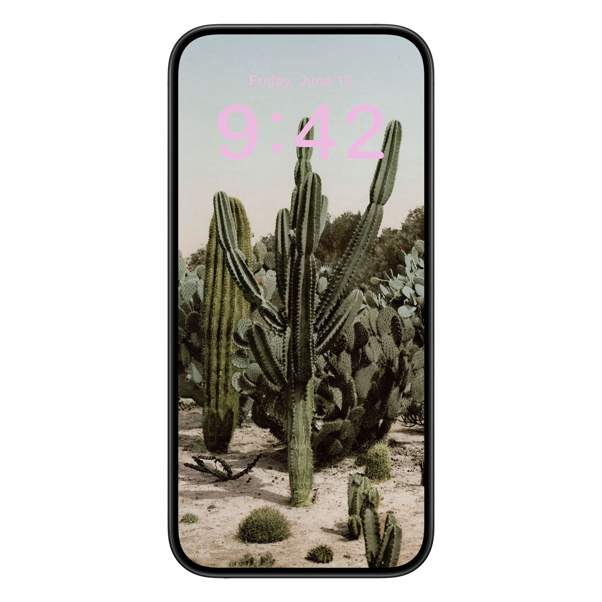 Desert Landscape Phone Wallpaper Pink Text