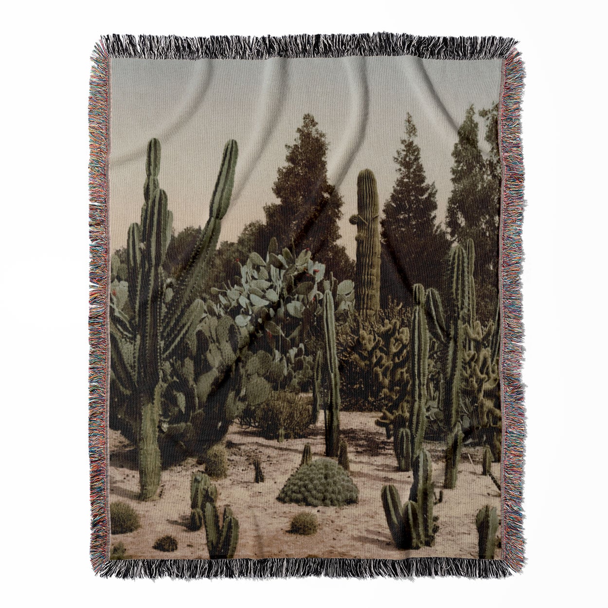 Desert Landscape woven throw blanket, crafted from 100% cotton, featuring a soft and cozy texture with a boho chic design for home decor.