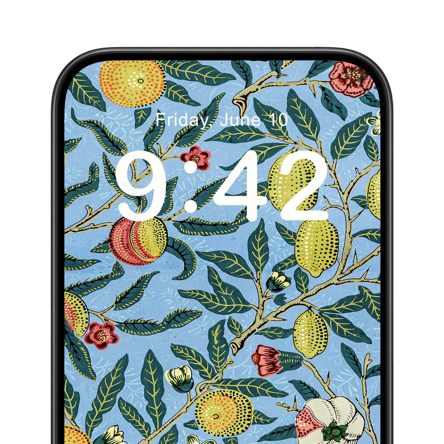 Eclectic Plants Phone Wallpaper Close Up