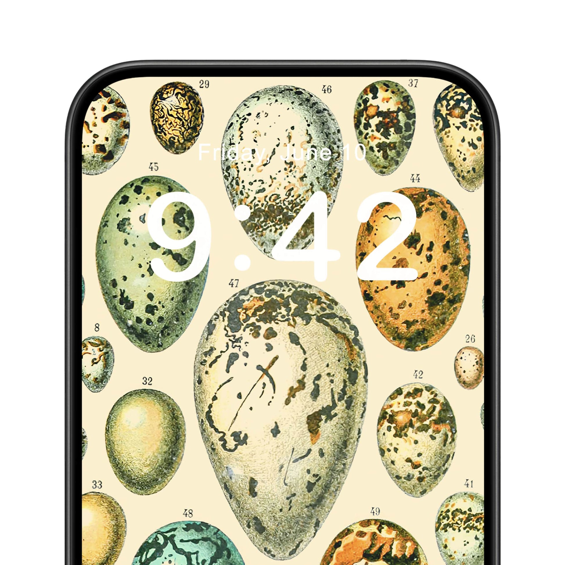 Eggs Phone Wallpaper Close Up