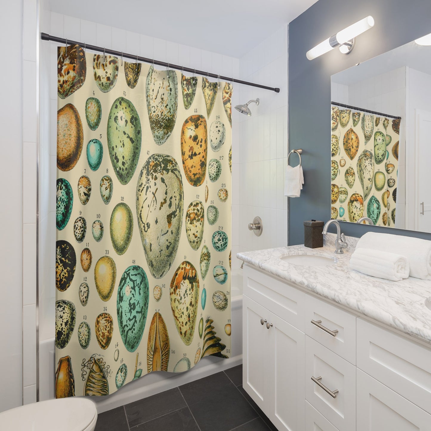 Eggs Shower Curtain Best Bathroom Decorating Ideas for Science Decor