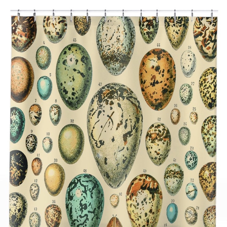 Eggs Shower Curtain Close Up, Science Shower Curtains