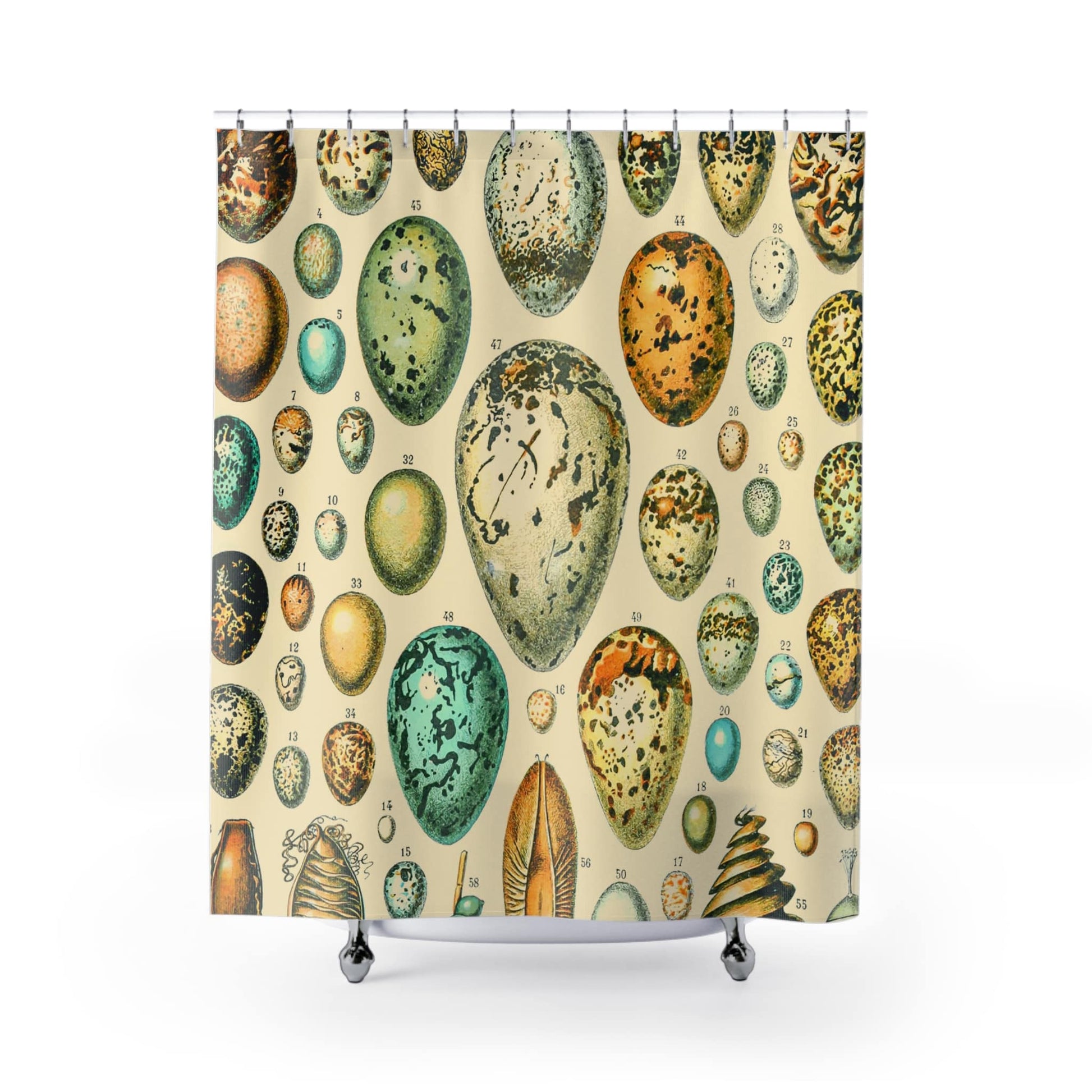 Eggs Shower Curtain with vintage egg chart design, educational bathroom decor showcasing detailed egg illustrations.