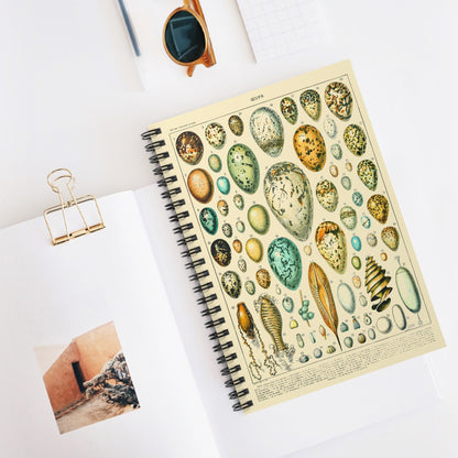 Eggs Spiral Notebook Displayed on Desk