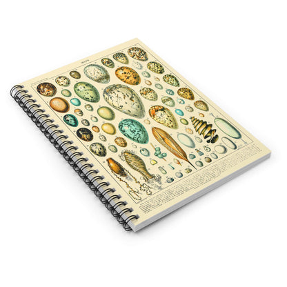 Eggs Spiral Notebook Laying Flat on White Surface