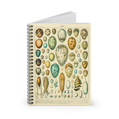 Eggs Spiral Notebook Standing up on White Desk