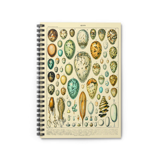 Eggs Notebook with Vintage Egg Chart cover, great for journaling and planning, highlighting a vintage egg chart design.