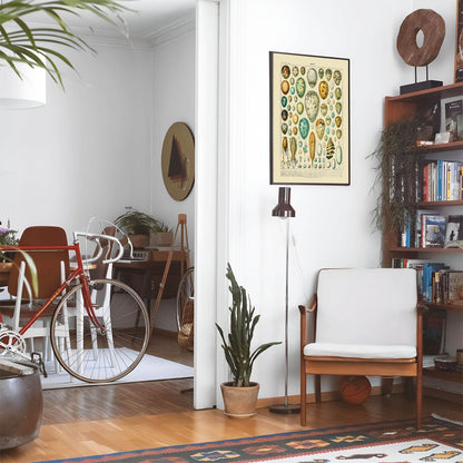 Eclectic living room with a road bike, bookshelf and house plants that features framed artwork of a Vintage Egg above a chair and lamp