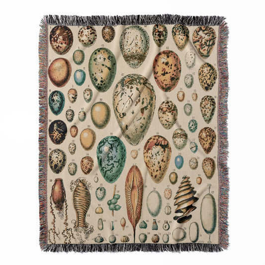 Eggs woven throw blanket, crafted from 100% cotton, offering a soft and cozy texture with a vintage egg chart for home decor.