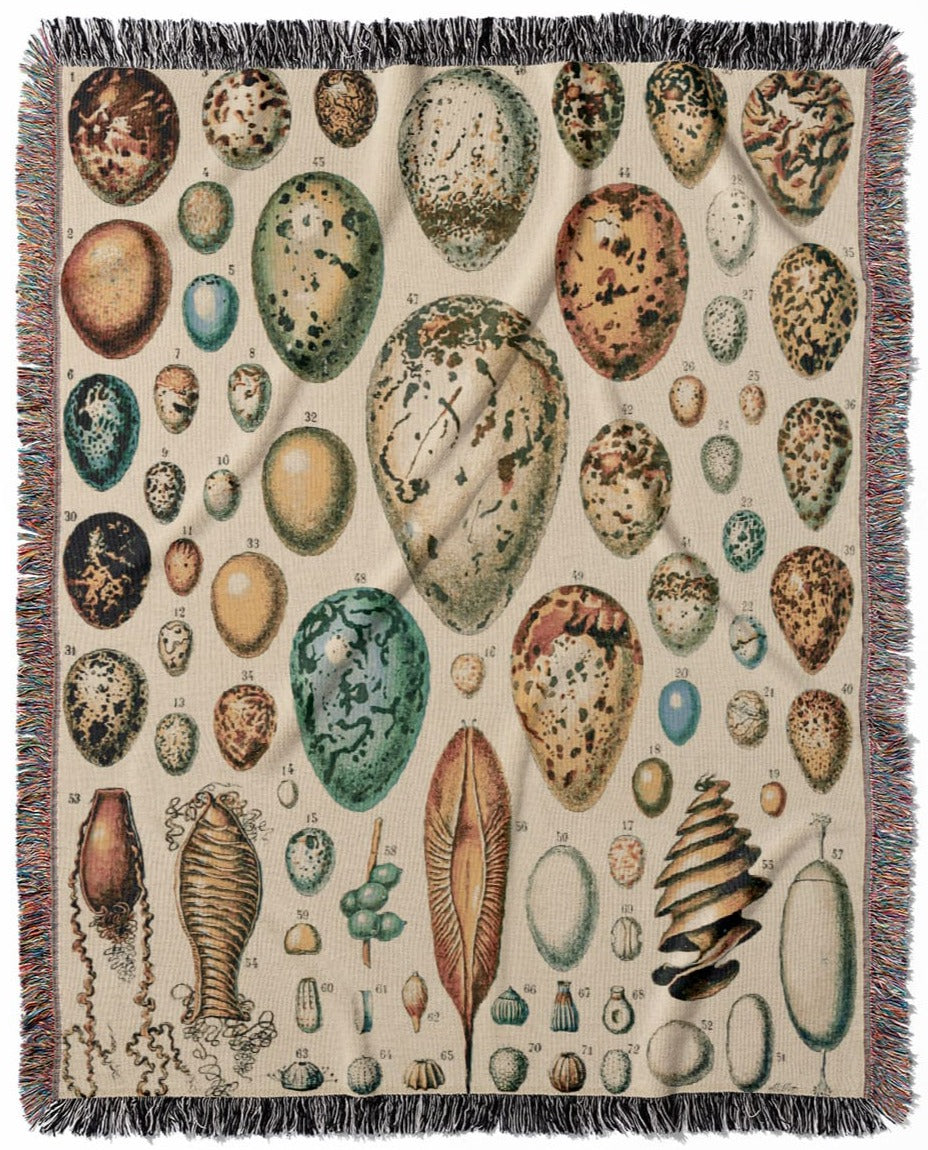 Eggs woven throw blanket, crafted from 100% cotton, offering a soft and cozy texture with a vintage egg chart for home decor.