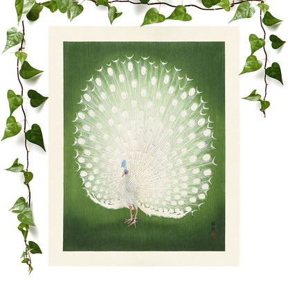 Emerald Green and White Peacock art prints featuring a elegant, vintage wall art room decor