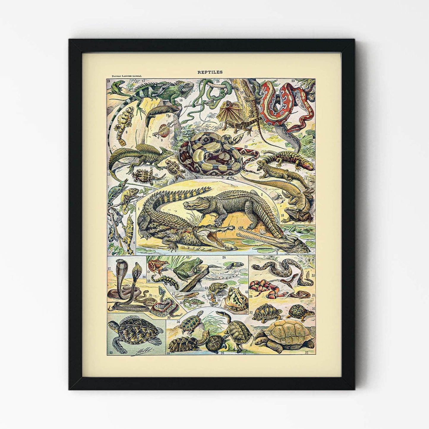 Wild Reptiles Painting in Black Picture Frame