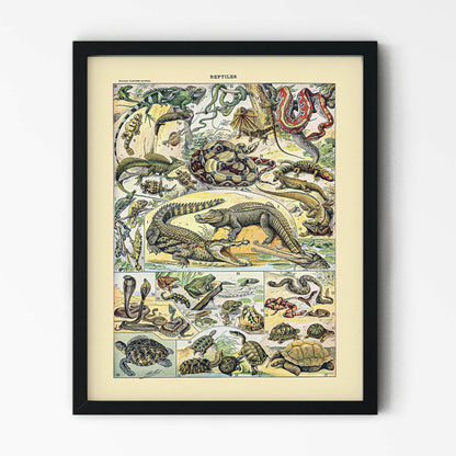 Wild Reptiles Painting in Black Picture Frame