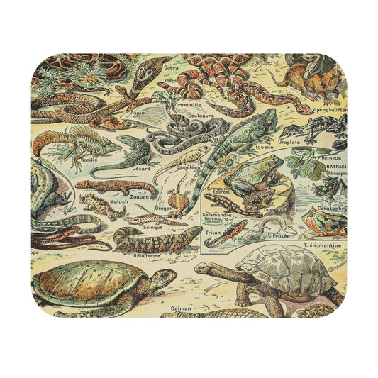 Lizards and Snakes Mouse Pad featuring a reptile chart design, enhancing desk and office decor.