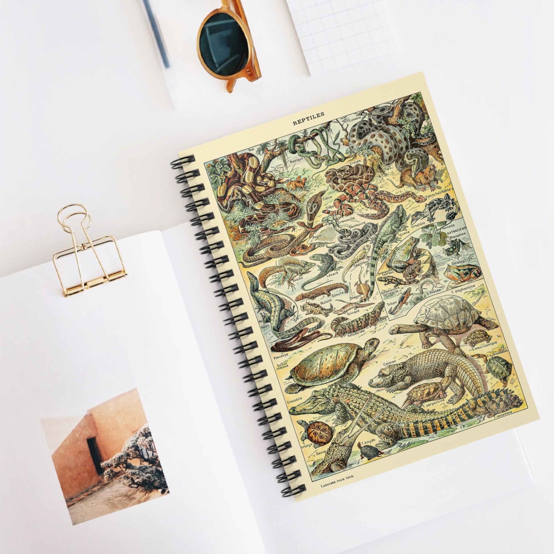 Exotic Animals Spiral Notebook Displayed on Desk