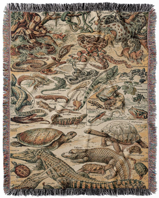 Lizards and Snakes woven throw blanket, made with 100% cotton, providing a soft and cozy texture with a reptile chart design for home decor.