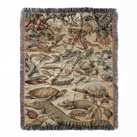 Lizards and Snakes woven throw blanket, made with 100% cotton, providing a soft and cozy texture with a reptile chart design for home decor.