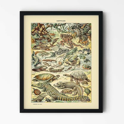 Wild Reptiles Painting in Black Picture Frame