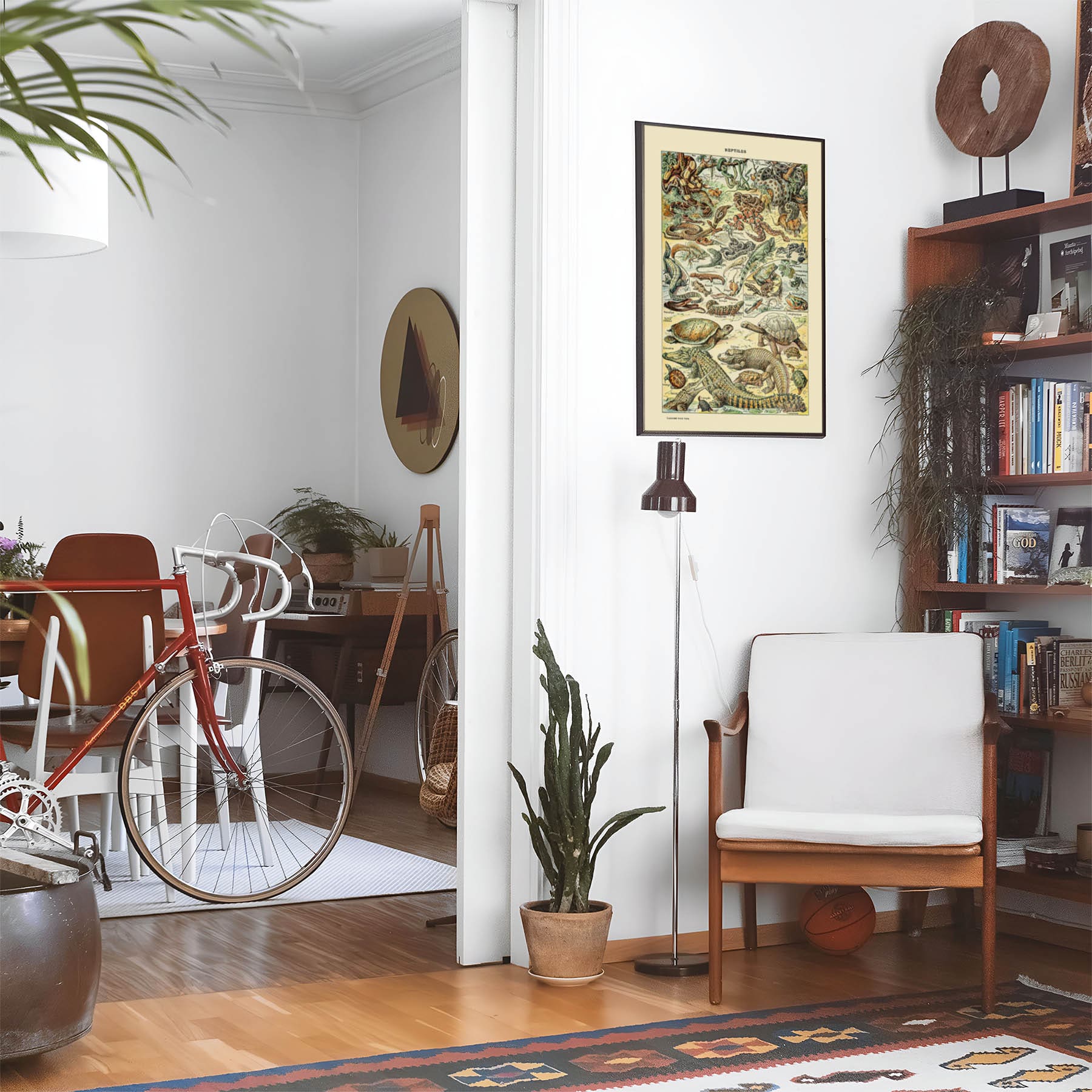 Eclectic living room with a road bike, bookshelf and house plants that features framed artwork of a Wild Reptiles above a chair and lamp