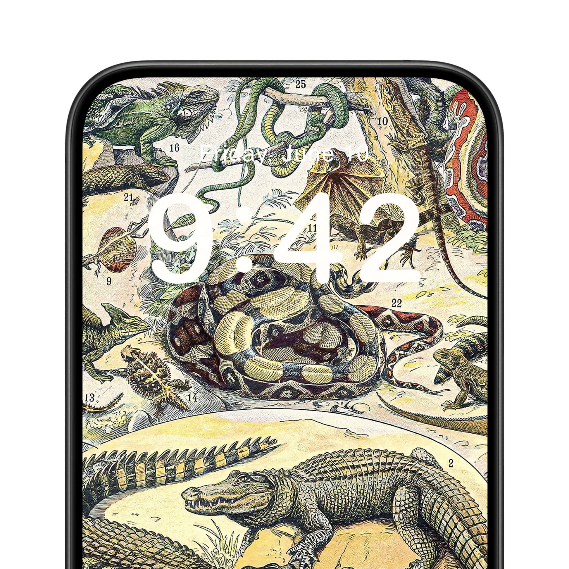 Exotic Animals Phone Wallpaper Close Up