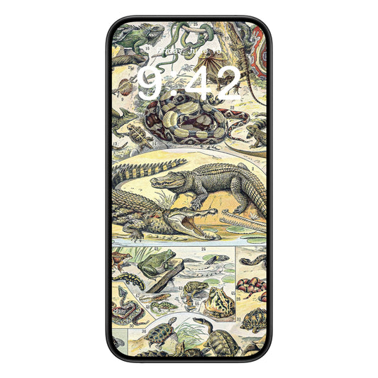 Reptile Chart phone wallpaper background with exotic animals design shown on a phone lock screen, instant download available.