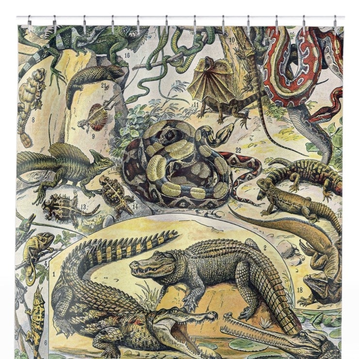 Exotic Animals Shower Curtain Close Up, Science Shower Curtains