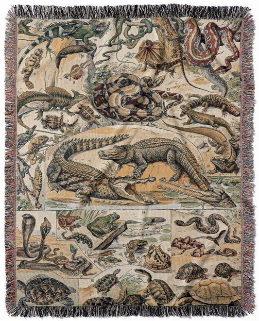 Reptile Chart woven throw blanket, made of 100% cotton, featuring a soft and cozy texture with exotic animals for home decor.