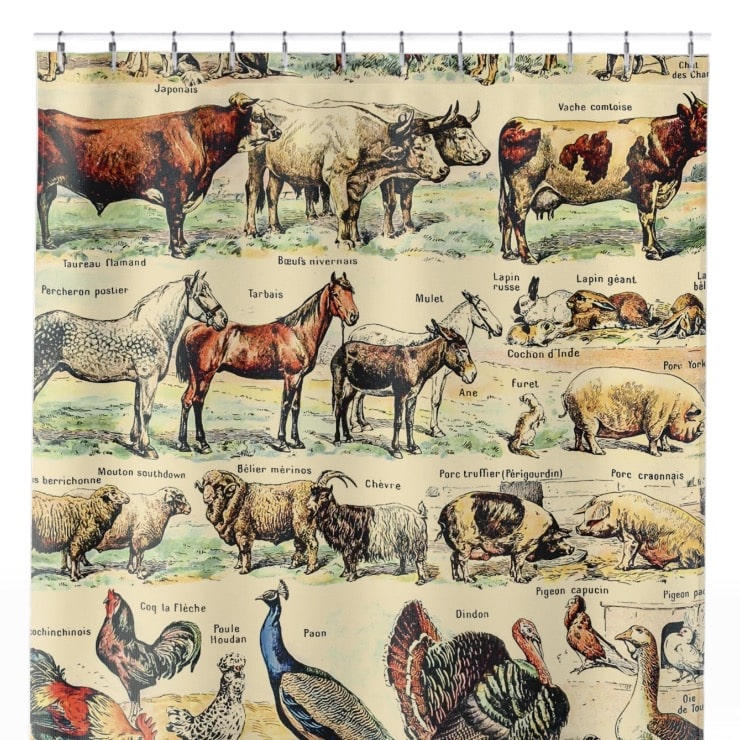 Farm Animals Shower Curtain Close Up, Science Shower Curtains