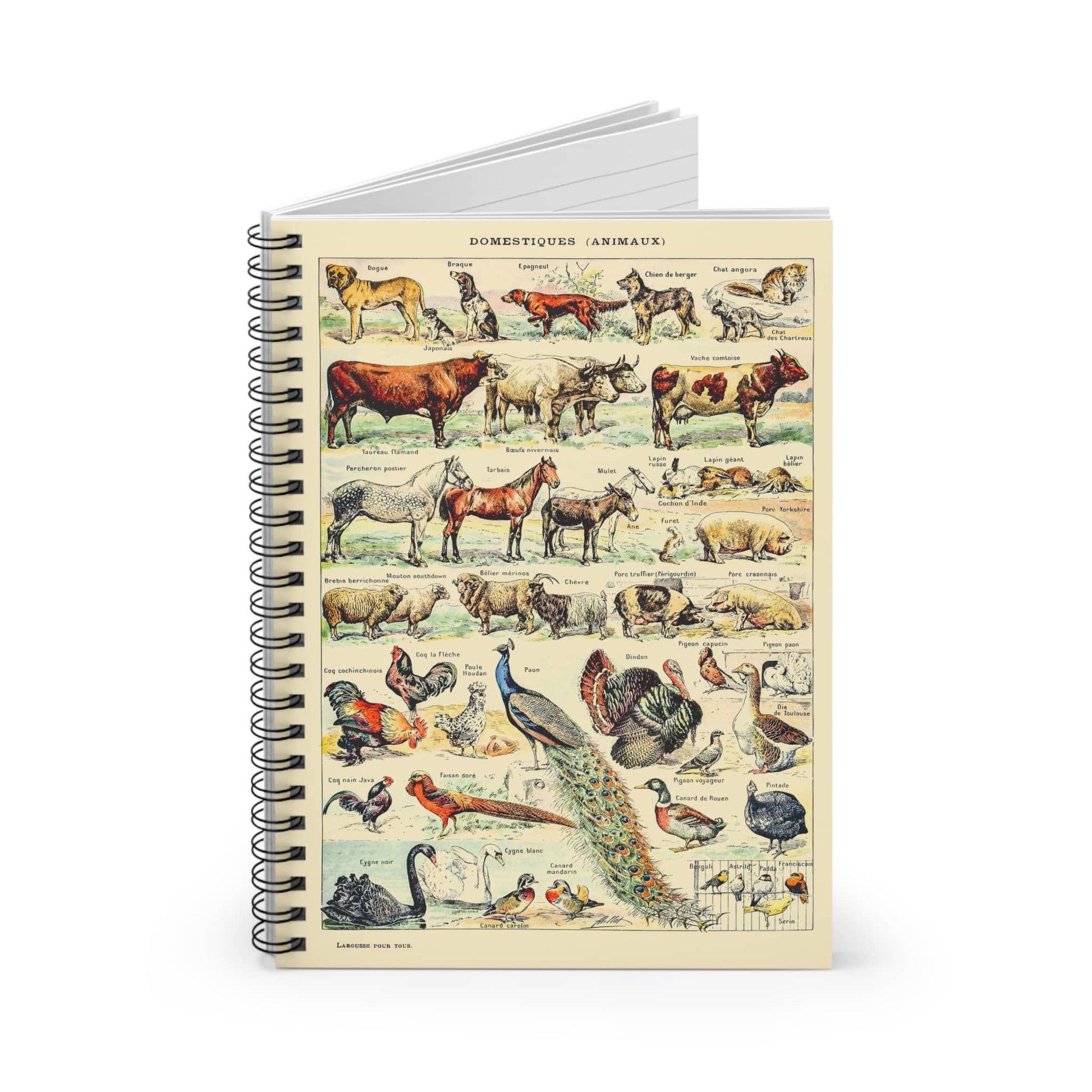 Farm Animals Spiral Notebook Standing up on White Desk