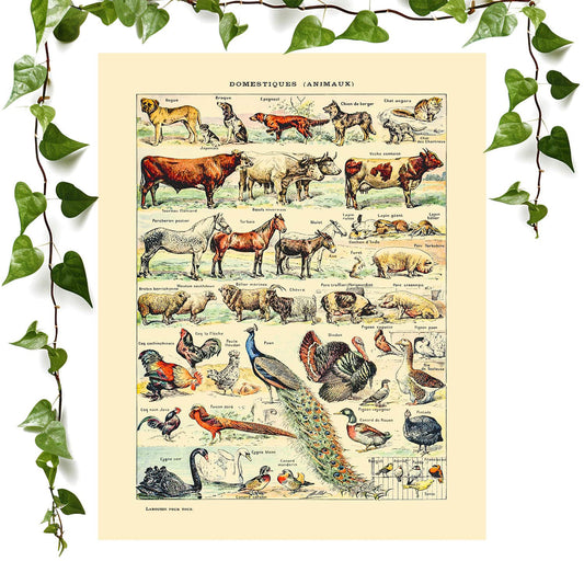 Vintage art print of farm animals featuring country decor, perfect for wall art.